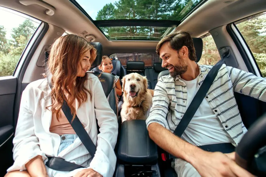 Family in a car on a roadtrip