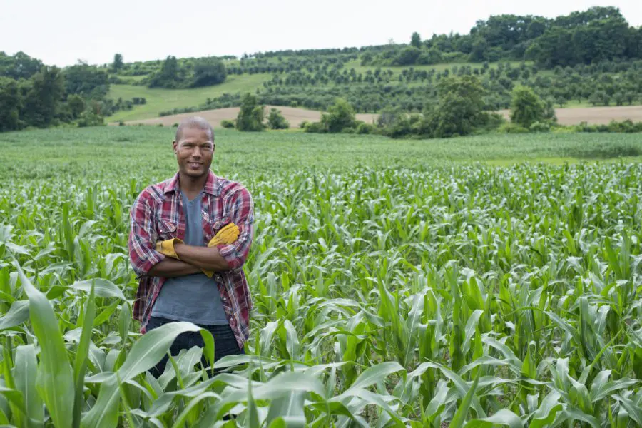 Best Farm & Ranch Insurance