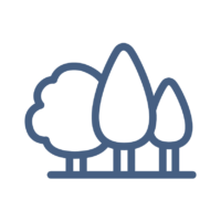 Icon of several trees growing next to each other