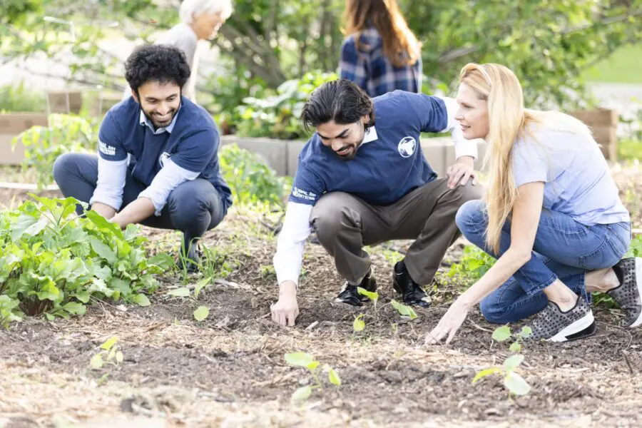 The mature adult director crouches down to encourage the two young adult male volunteers as they dig and plant in the food bank garden.