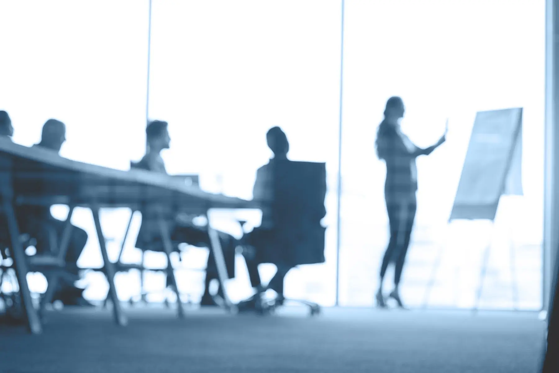 Blurred photo of a business presentation