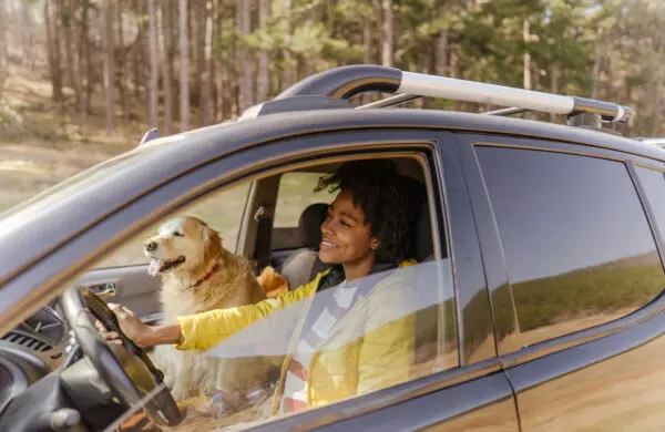 Young smiling woman driving a car with her dog in the passenger seat