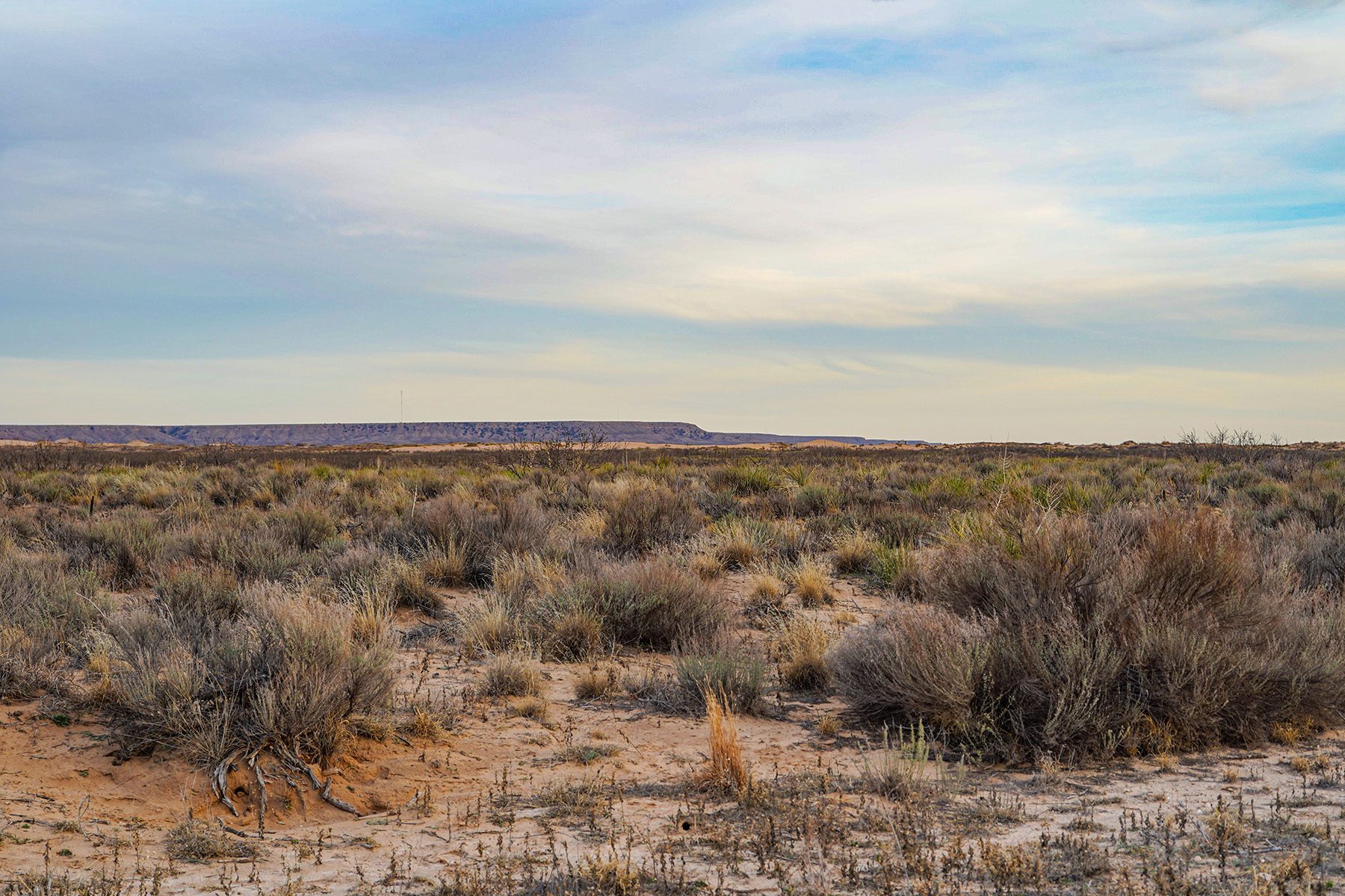 Dry dessert field
