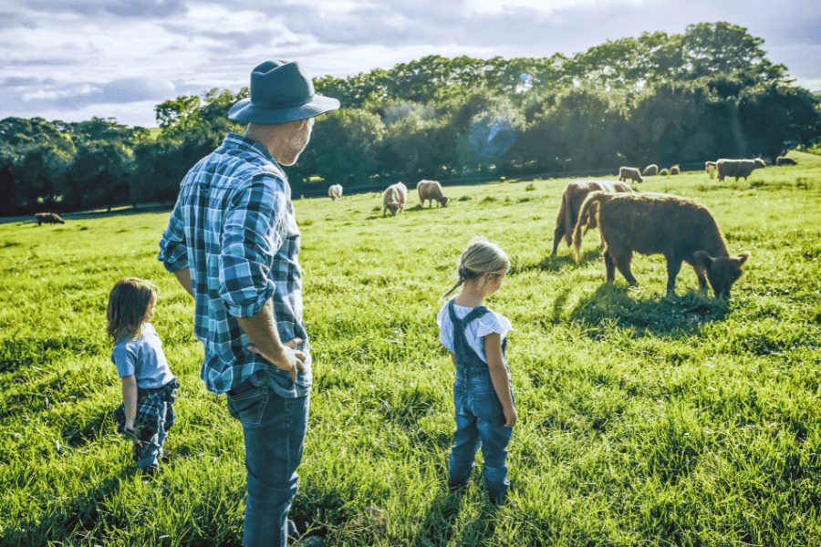 Man And Children With Cows