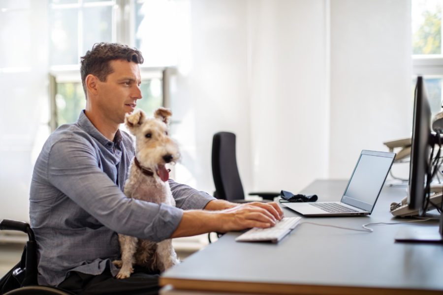 man-with-dog-in-wheelchair-at-desk