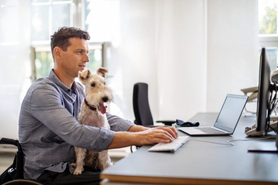 In a bright office setting, a man in a wheelchair works diligently at his desk with his loyal dog on his lap, showcasing the empowering role of voluntary disability benefits.