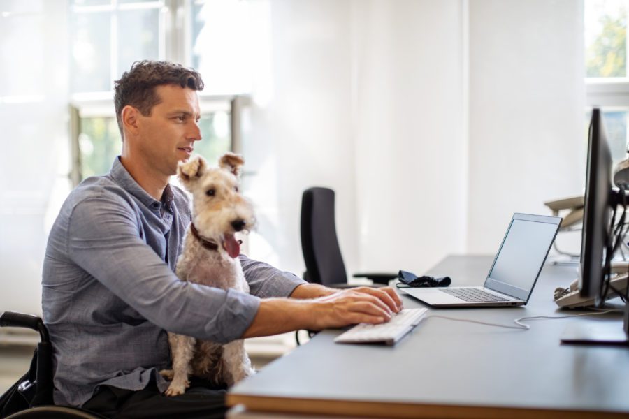 man in wheelchair working with dog in his lap