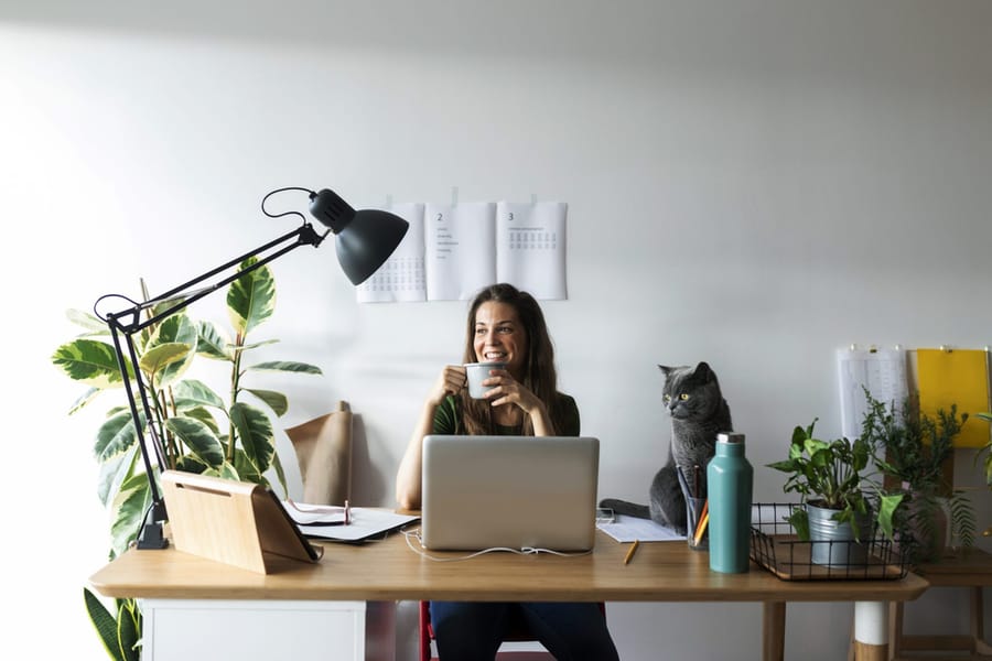 Woman working from home with her cat