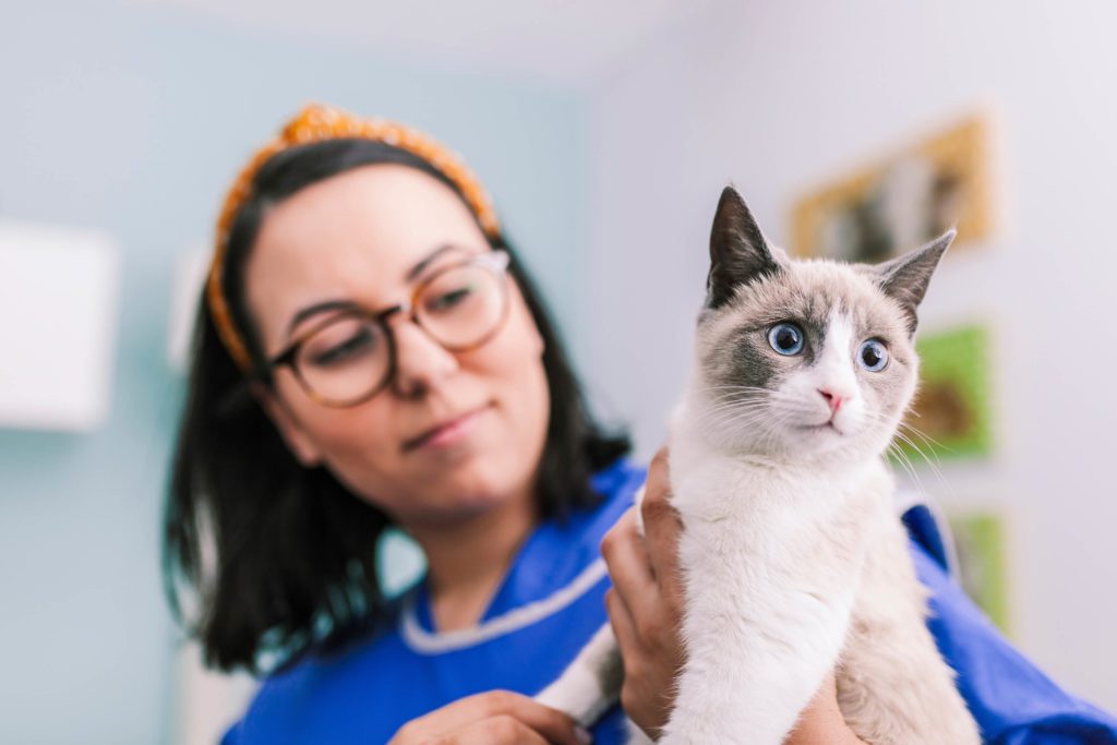 Veterinarian with cat