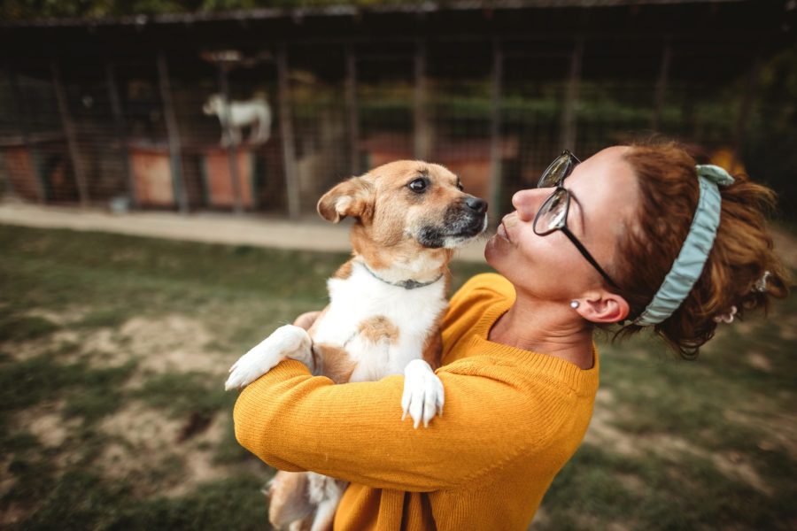 Young woman in animal shelter