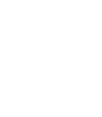 Higginbotham H logo