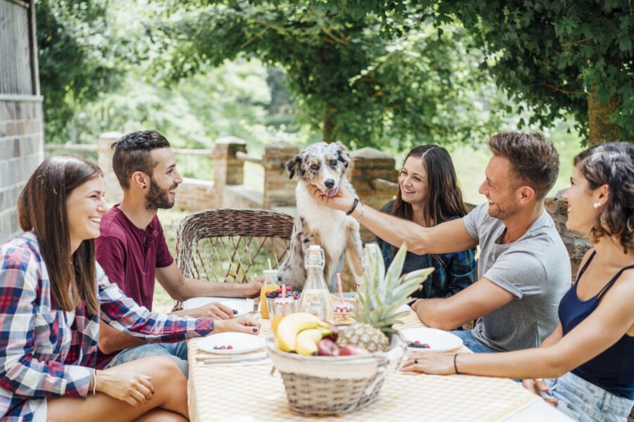 Group of friends having a break in the countryside together drinking juices