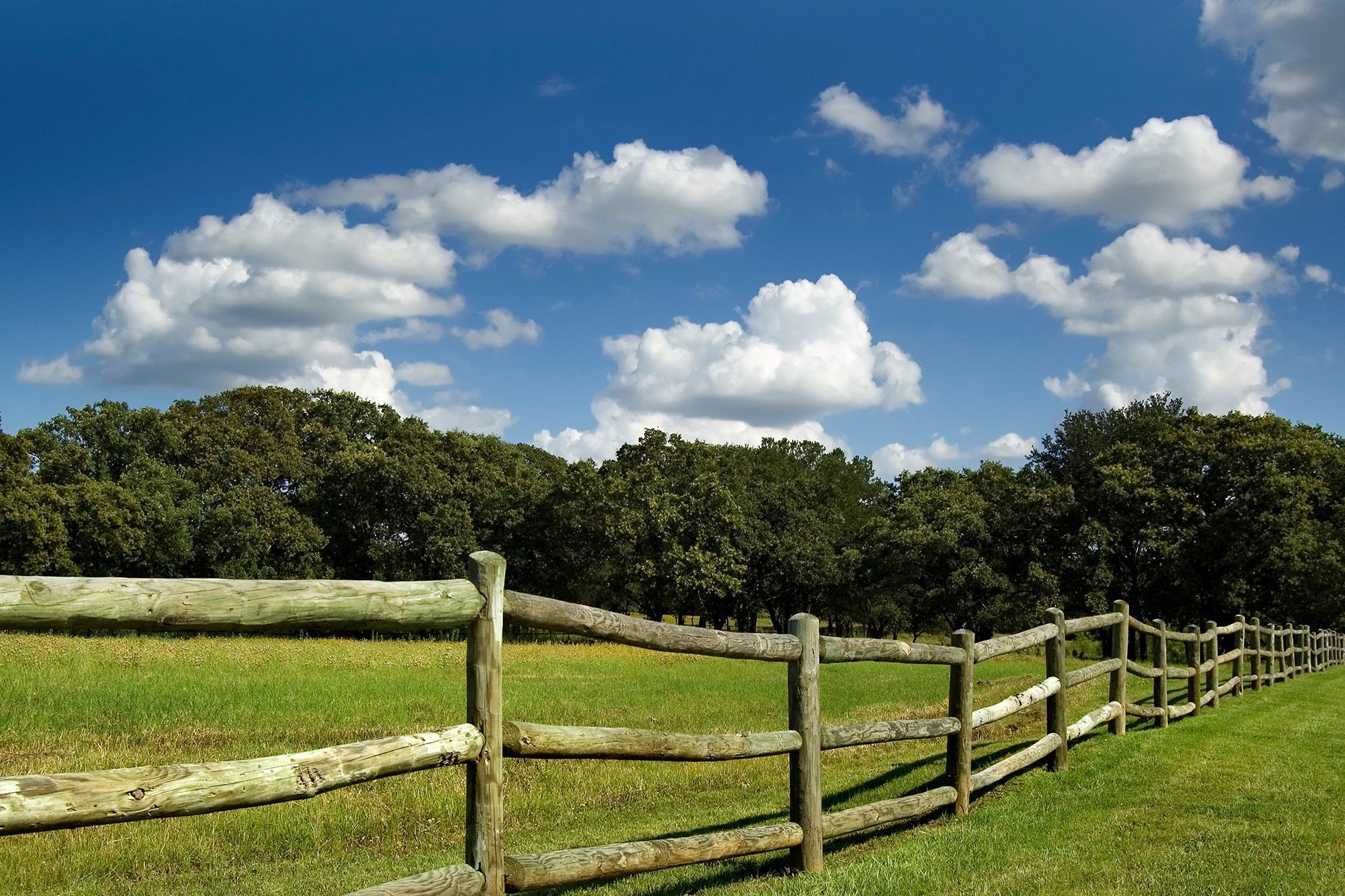 Wooden fence in an open field