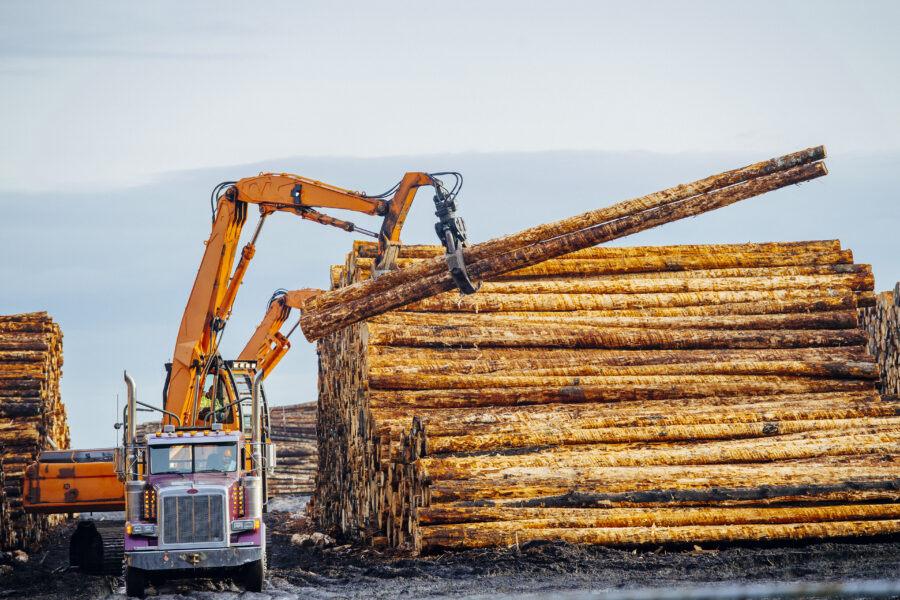 Heavy Machinery, Moving Cut Logs