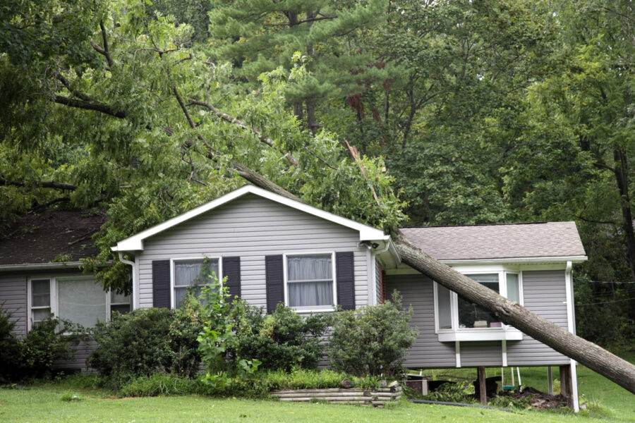 Tree that has fallen on a house during a severe storm