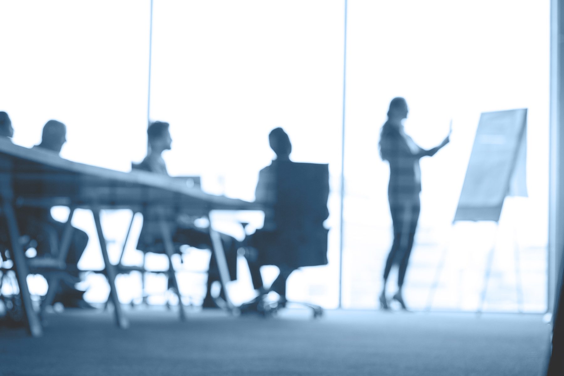 Blurred photo of a business presentation