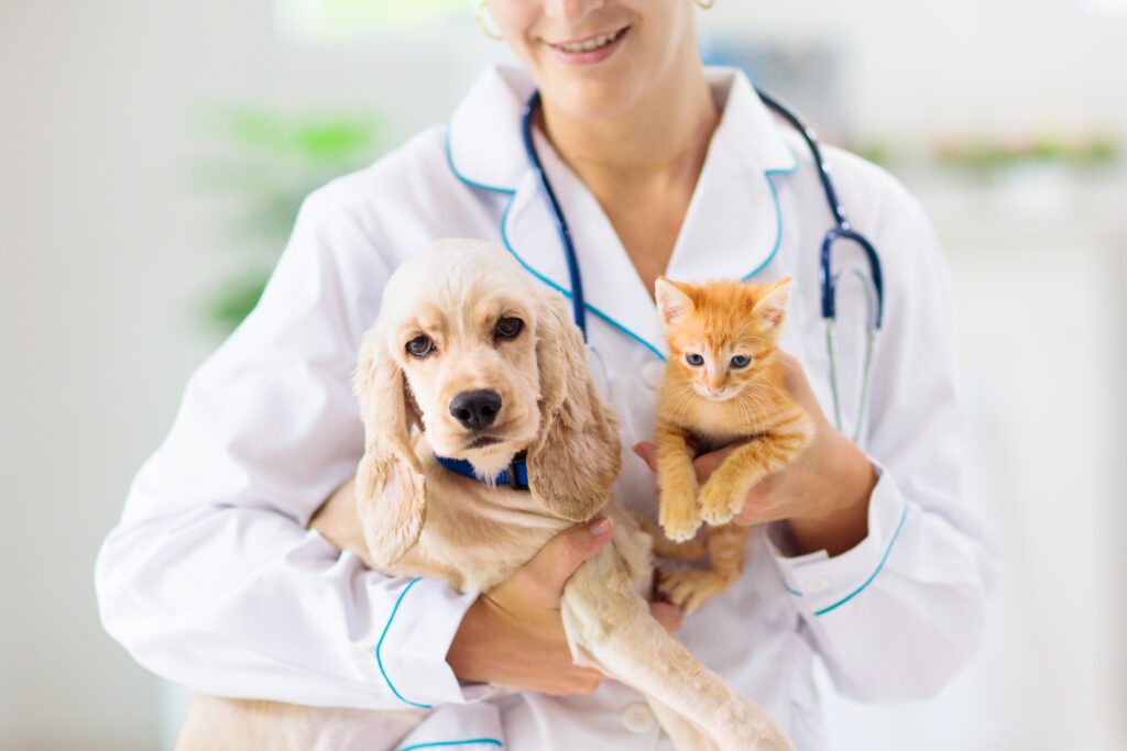 A veterinarian covered by liability insurance holds a golden retriever puppy and a ginger kitten